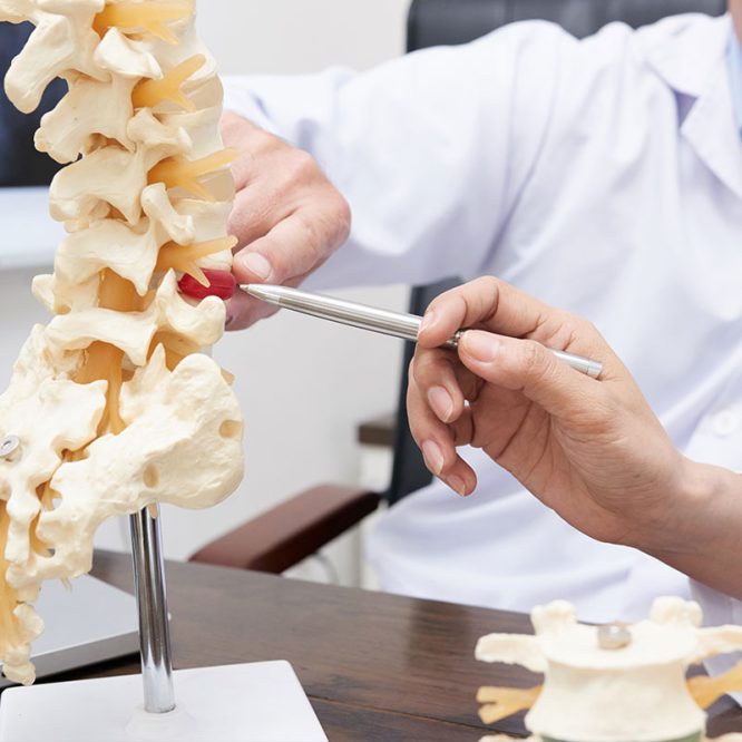 Endoskopik Omurga, Endoskopik Omurga Cerrahisi, Endoskopik omurga ameliyatı, Endoskopik bel fıtığı ameliyatı, Endoskopik boyun fıtığı ameliyatı, Endoskopik kanal daralması ameliyatı, Minimal invaziv omurga cerrahisi, Omurga cerrahisi yöntemleri, Omurga ameliyatı endoskopik teknik, Bel fıtığı endoskopik tedavi, Boyun fıtığı endoskopik tedavi, Spinal endoskopik cerrahi, Endoskopik omurga cerrahisi uzmanı, Endoskopik omurga cerrahisi doktoru, En İyi Endoskopik omurga cerrahisi uzmanı, En İyi Endoskopik omurga cerrahisi doktoru, En İyi Endoskopik cerrahi Doktoru, En İyi Endoskopik cerrahi Uzmanı