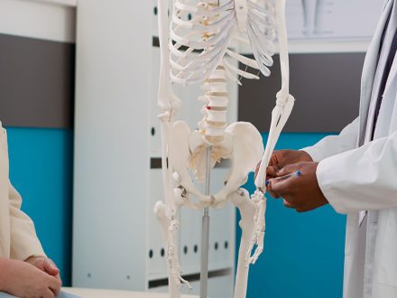 Endoskopik Omurga, Endoskopik Omurga Cerrahisi, Endoskopik omurga ameliyatı, Endoskopik bel fıtığı ameliyatı, Endoskopik boyun fıtığı ameliyatı, Endoskopik kanal daralması ameliyatı, Minimal invaziv omurga cerrahisi, Omurga cerrahisi yöntemleri, Omurga ameliyatı endoskopik teknik, Bel fıtığı endoskopik tedavi, Boyun fıtığı endoskopik tedavi, Spinal endoskopik cerrahi, Endoskopik omurga cerrahisi uzmanı, Endoskopik omurga cerrahisi doktoru, En İyi Endoskopik omurga cerrahisi uzmanı, En İyi Endoskopik omurga cerrahisi doktoru, En İyi Endoskopik cerrahi Doktoru, En İyi Endoskopik cerrahi Uzmanı