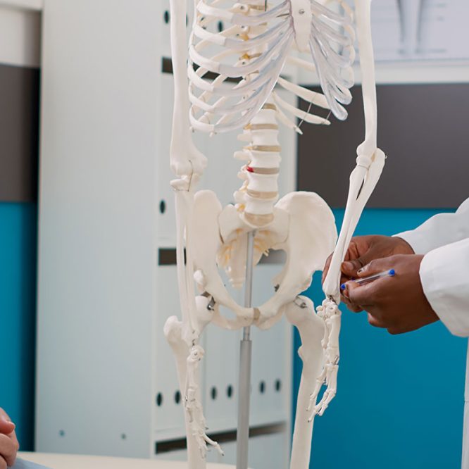 Endoskopik Omurga, Endoskopik Omurga Cerrahisi, Endoskopik omurga ameliyatı, Endoskopik bel fıtığı ameliyatı, Endoskopik boyun fıtığı ameliyatı, Endoskopik kanal daralması ameliyatı, Minimal invaziv omurga cerrahisi, Omurga cerrahisi yöntemleri, Omurga ameliyatı endoskopik teknik, Bel fıtığı endoskopik tedavi, Boyun fıtığı endoskopik tedavi, Spinal endoskopik cerrahi, Endoskopik omurga cerrahisi uzmanı, Endoskopik omurga cerrahisi doktoru, En İyi Endoskopik omurga cerrahisi uzmanı, En İyi Endoskopik omurga cerrahisi doktoru, En İyi Endoskopik cerrahi Doktoru, En İyi Endoskopik cerrahi Uzmanı