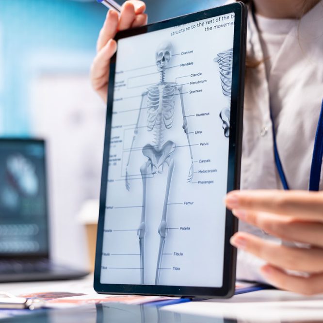 Endoskopik Omurga, Endoskopik Omurga Cerrahisi, Endoskopik omurga ameliyatı, Endoskopik bel fıtığı ameliyatı, Endoskopik boyun fıtığı ameliyatı, Endoskopik kanal daralması ameliyatı, Minimal invaziv omurga cerrahisi, Omurga cerrahisi yöntemleri, Omurga ameliyatı endoskopik teknik, Bel fıtığı endoskopik tedavi, Boyun fıtığı endoskopik tedavi, Spinal endoskopik cerrahi, Endoskopik omurga cerrahisi uzmanı, Endoskopik omurga cerrahisi doktoru, En İyi Endoskopik omurga cerrahisi uzmanı, En İyi Endoskopik omurga cerrahisi doktoru, En İyi Endoskopik cerrahi Doktoru, En İyi Endoskopik cerrahi Uzmanı