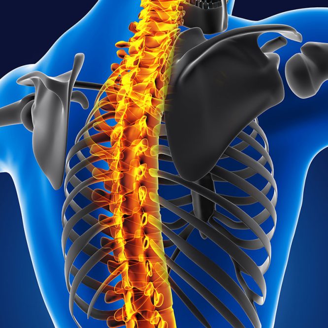 Endoskopik Omurga, Endoskopik Omurga Cerrahisi, Endoskopik omurga ameliyatı, Endoskopik bel fıtığı ameliyatı, Endoskopik boyun fıtığı ameliyatı, Endoskopik kanal daralması ameliyatı, Minimal invaziv omurga cerrahisi, Omurga cerrahisi yöntemleri, Omurga ameliyatı endoskopik teknik, Bel fıtığı endoskopik tedavi, Boyun fıtığı endoskopik tedavi, Spinal endoskopik cerrahi, Endoskopik omurga cerrahisi uzmanı, Endoskopik omurga cerrahisi doktoru, En İyi Endoskopik omurga cerrahisi uzmanı, En İyi Endoskopik omurga cerrahisi doktoru, En İyi Endoskopik cerrahi Doktoru, En İyi Endoskopik cerrahi Uzmanı