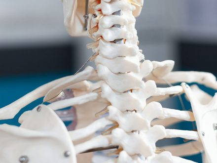 Endoskopik Omurga, Endoskopik Omurga Cerrahisi, Endoskopik omurga ameliyatı, Endoskopik bel fıtığı ameliyatı, Endoskopik boyun fıtığı ameliyatı, Endoskopik kanal daralması ameliyatı, Minimal invaziv omurga cerrahisi, Omurga cerrahisi yöntemleri, Omurga ameliyatı endoskopik teknik, Bel fıtığı endoskopik tedavi, Boyun fıtığı endoskopik tedavi, Spinal endoskopik cerrahi, Endoskopik omurga cerrahisi uzmanı, Endoskopik omurga cerrahisi doktoru, En İyi Endoskopik omurga cerrahisi uzmanı, En İyi Endoskopik omurga cerrahisi doktoru, En İyi Endoskopik cerrahi Doktoru, En İyi Endoskopik cerrahi Uzmanı