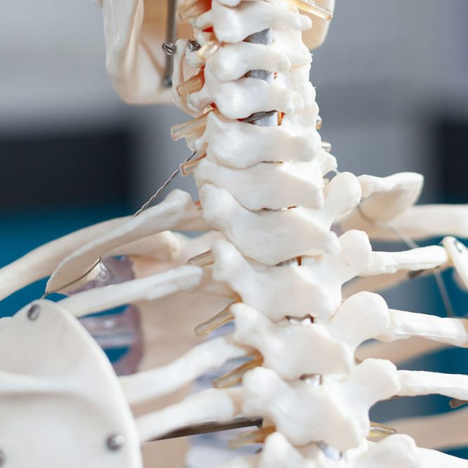 Endoskopik Omurga, Endoskopik Omurga Cerrahisi, Endoskopik omurga ameliyatı, Endoskopik bel fıtığı ameliyatı, Endoskopik boyun fıtığı ameliyatı, Endoskopik kanal daralması ameliyatı, Minimal invaziv omurga cerrahisi, Omurga cerrahisi yöntemleri, Omurga ameliyatı endoskopik teknik, Bel fıtığı endoskopik tedavi, Boyun fıtığı endoskopik tedavi, Spinal endoskopik cerrahi, Endoskopik omurga cerrahisi uzmanı, Endoskopik omurga cerrahisi doktoru, En İyi Endoskopik omurga cerrahisi uzmanı, En İyi Endoskopik omurga cerrahisi doktoru, En İyi Endoskopik cerrahi Doktoru, En İyi Endoskopik cerrahi Uzmanı