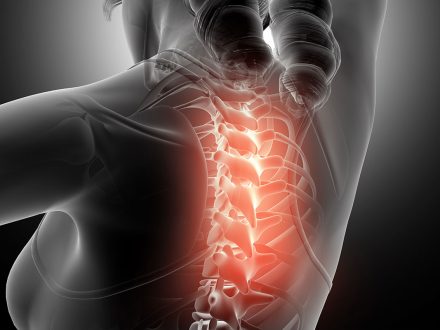 Endoskopik Omurga, Endoskopik Omurga Cerrahisi, Endoskopik omurga ameliyatı, Endoskopik bel fıtığı ameliyatı, Endoskopik boyun fıtığı ameliyatı, Endoskopik kanal daralması ameliyatı, Minimal invaziv omurga cerrahisi, Omurga cerrahisi yöntemleri, Omurga ameliyatı endoskopik teknik, Bel fıtığı endoskopik tedavi, Boyun fıtığı endoskopik tedavi, Spinal endoskopik cerrahi, Endoskopik omurga cerrahisi uzmanı, Endoskopik omurga cerrahisi doktoru, En İyi Endoskopik omurga cerrahisi uzmanı, En İyi Endoskopik omurga cerrahisi doktoru, En İyi Endoskopik cerrahi Doktoru, En İyi Endoskopik cerrahi Uzmanı