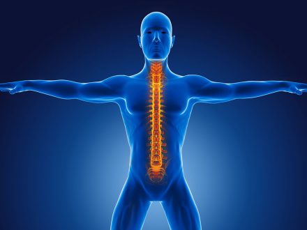 Endoskopik Omurga, Endoskopik Omurga Cerrahisi, Endoskopik omurga ameliyatı, Endoskopik bel fıtığı ameliyatı, Endoskopik boyun fıtığı ameliyatı, Endoskopik kanal daralması ameliyatı, Minimal invaziv omurga cerrahisi, Omurga cerrahisi yöntemleri, Omurga ameliyatı endoskopik teknik, Bel fıtığı endoskopik tedavi, Boyun fıtığı endoskopik tedavi, Spinal endoskopik cerrahi, Endoskopik omurga cerrahisi uzmanı, Endoskopik omurga cerrahisi doktoru, En İyi Endoskopik omurga cerrahisi uzmanı, En İyi Endoskopik omurga cerrahisi doktoru, En İyi Endoskopik cerrahi Doktoru, En İyi Endoskopik cerrahi Uzmanı